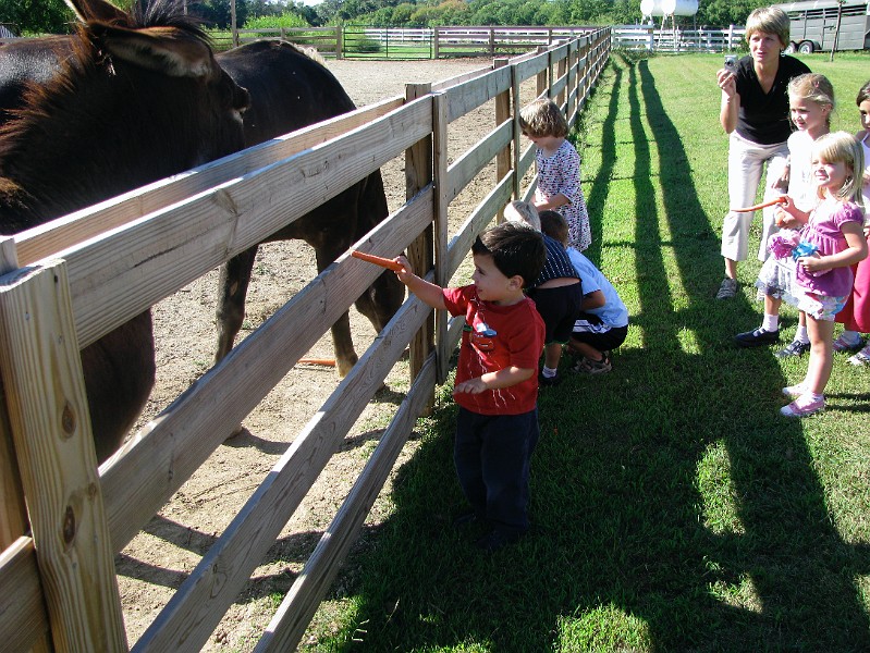 feeding_carrots.jpg