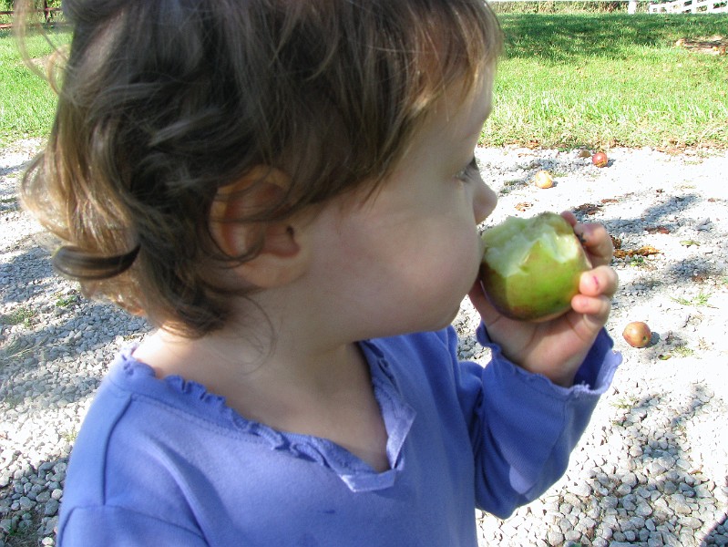 munching_apple.jpg