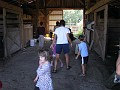 in_the_barn