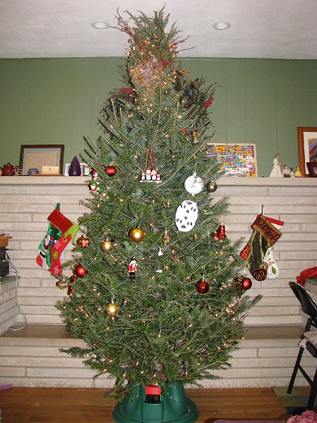 christmas_tree.JPG