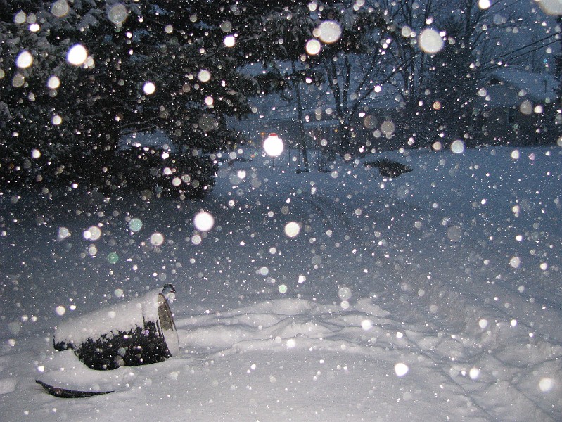 heavy_snow_on_longwood.JPG