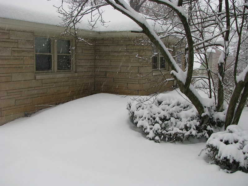snowy_house.JPG