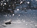 heavy_snow_on_longwood