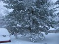 snowy_yard