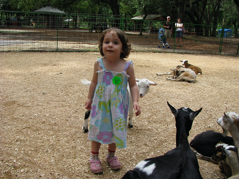 lizzie_with_goats.JPG