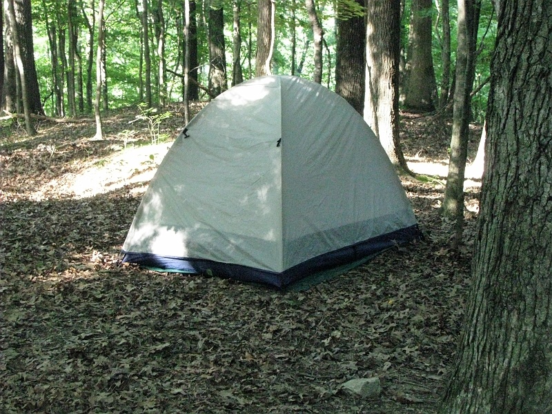 tent_in_woods.JPG