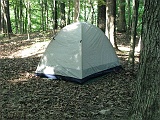tent_in_woods