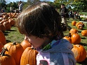 lizzie_in_pumpkin_patch
