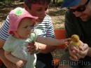 emma_touching_duckling * 1600 x 1200 * (772KB)