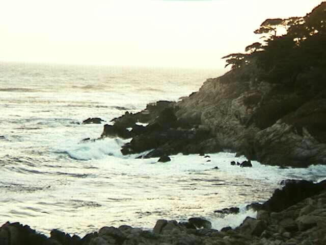 Coast in Monterey
